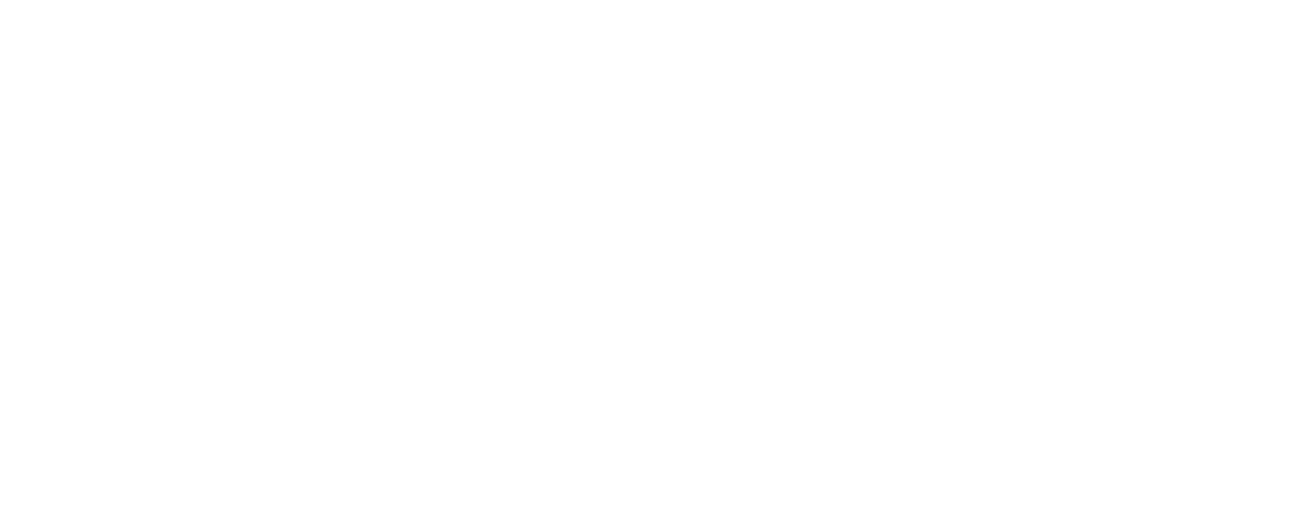 Logo Connect Now wit